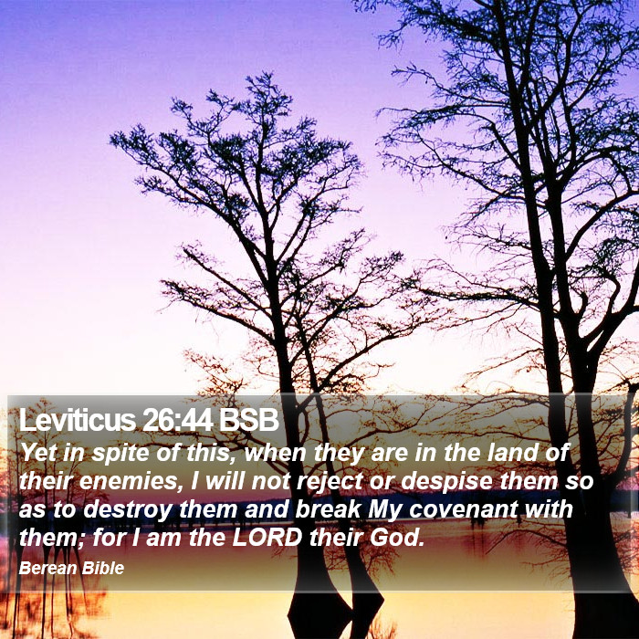 Leviticus 26:44 BSB Bible Study