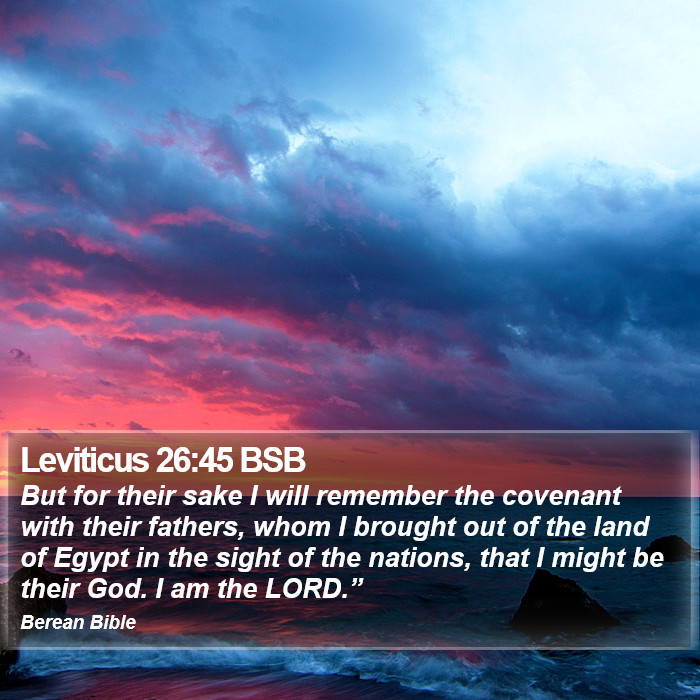 Leviticus 26:45 BSB Bible Study