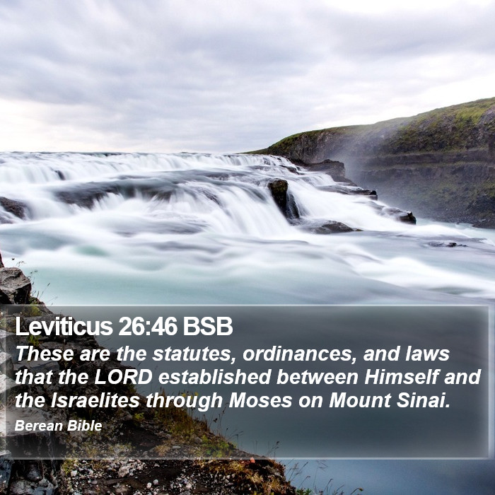 Leviticus 26:46 BSB Bible Study