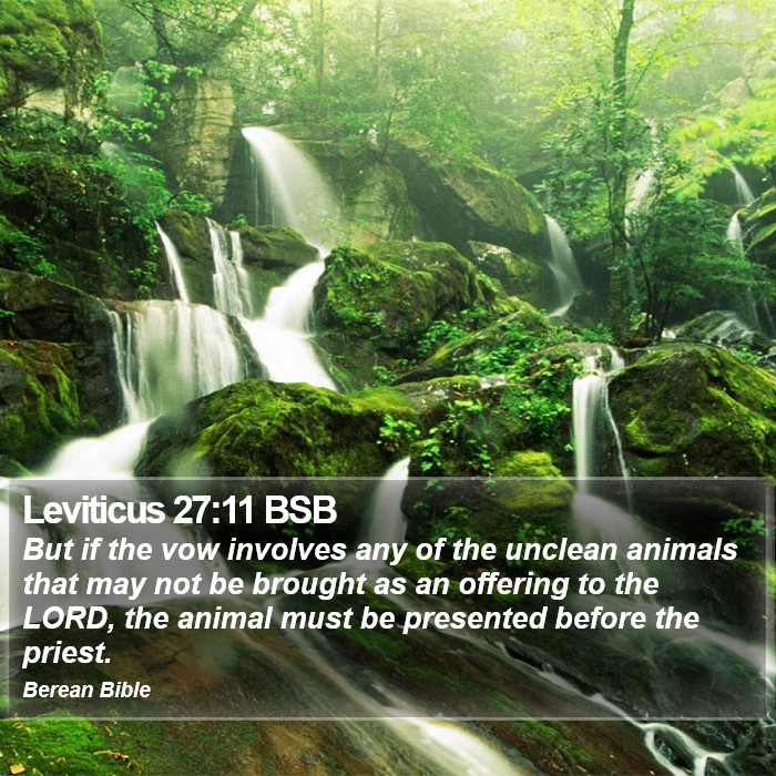 Leviticus 27:11 BSB Bible Study