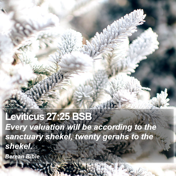 Leviticus 27:25 BSB Bible Study