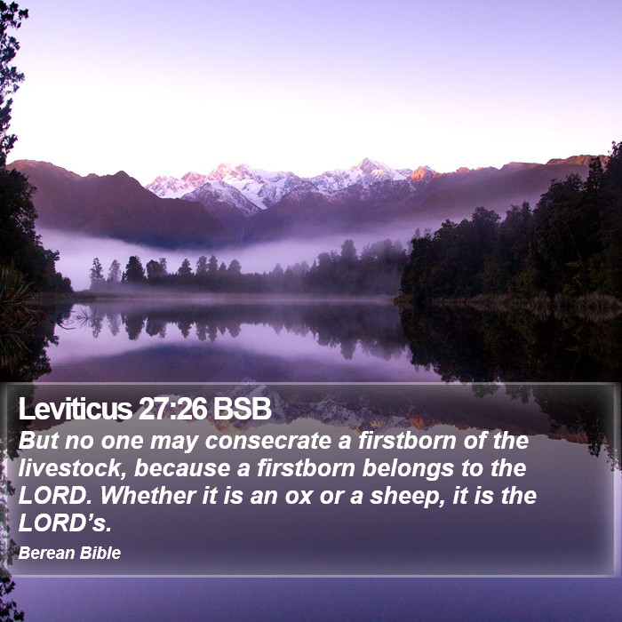 Leviticus 27:26 BSB Bible Study