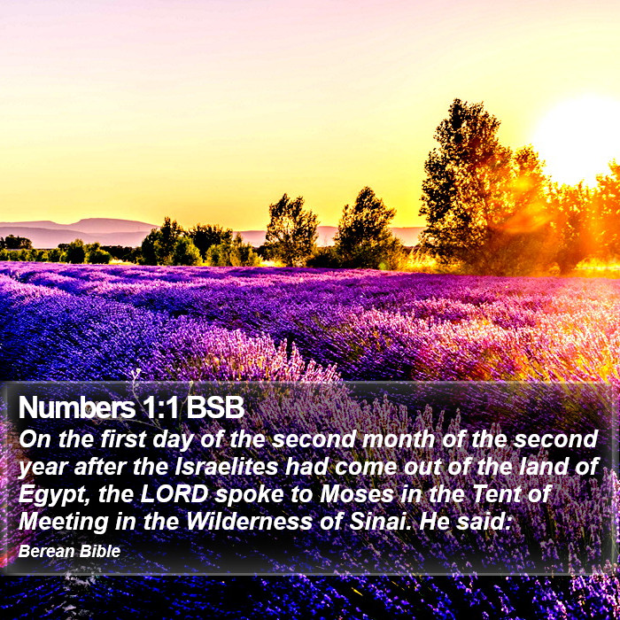 Numbers 1:1 BSB Bible Study