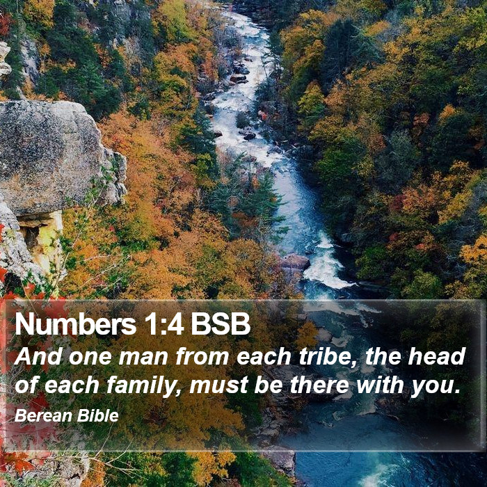 Numbers 1:4 BSB Bible Study