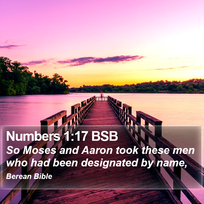 Numbers 1:17 BSB Bible Study