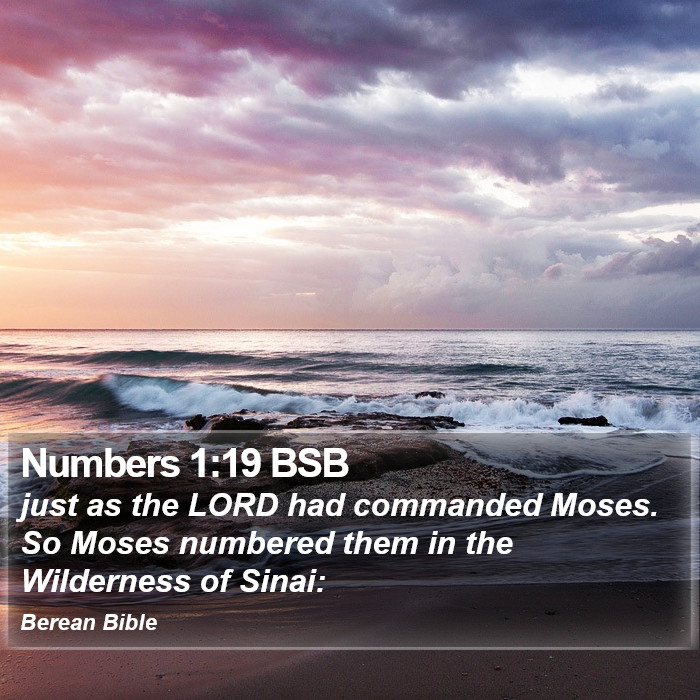 Numbers 1:19 BSB Bible Study