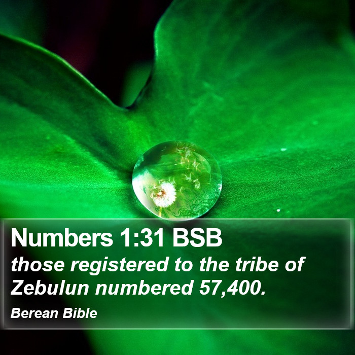 Numbers 1:31 BSB Bible Study