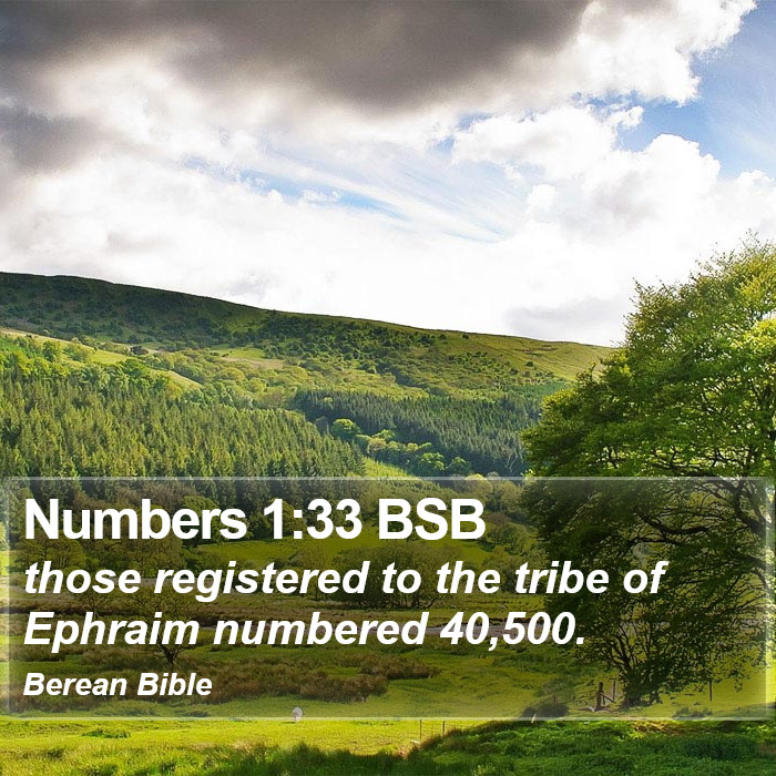 Numbers 1:33 BSB Bible Study