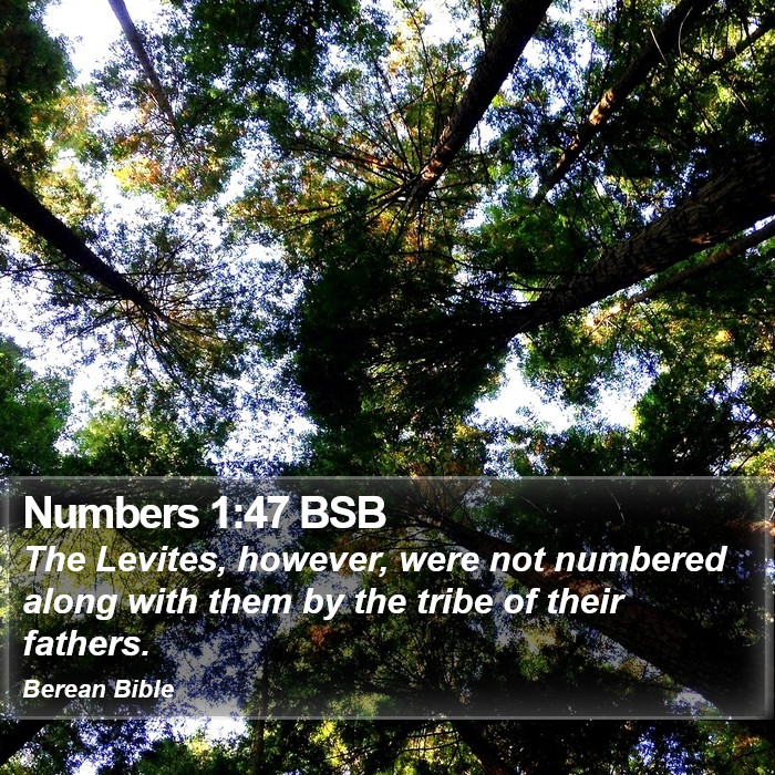 Numbers 1:47 BSB Bible Study