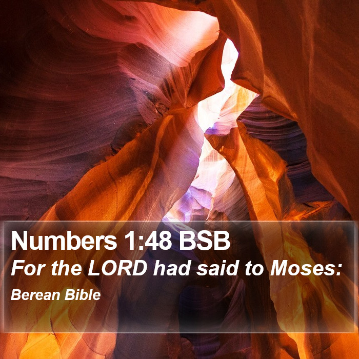 Numbers 1:48 BSB Bible Study