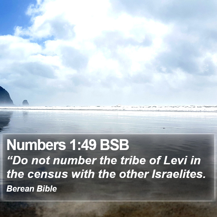 Numbers 1:49 BSB Bible Study