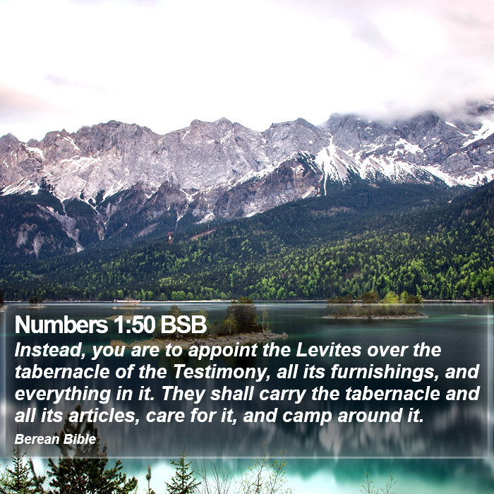 Numbers 1:50 BSB Bible Study