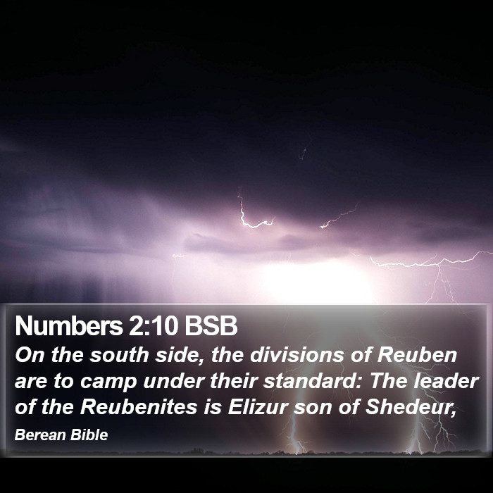 Numbers 2:10 BSB Bible Study