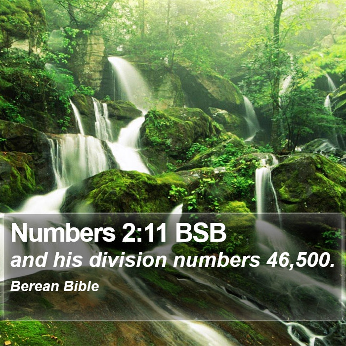 Numbers 2:11 BSB Bible Study