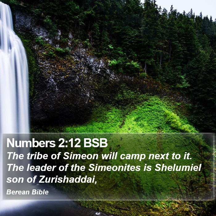 Numbers 2:12 BSB Bible Study