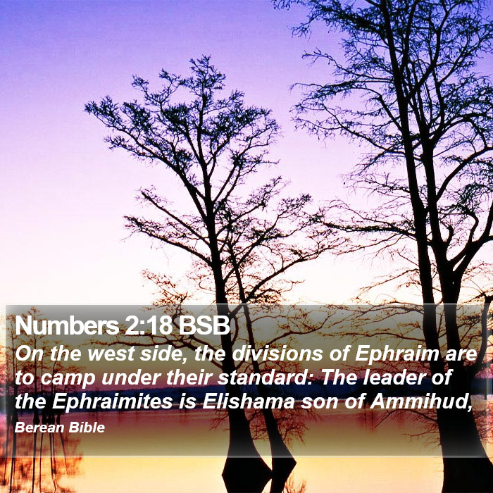 Numbers 2:18 BSB Bible Study