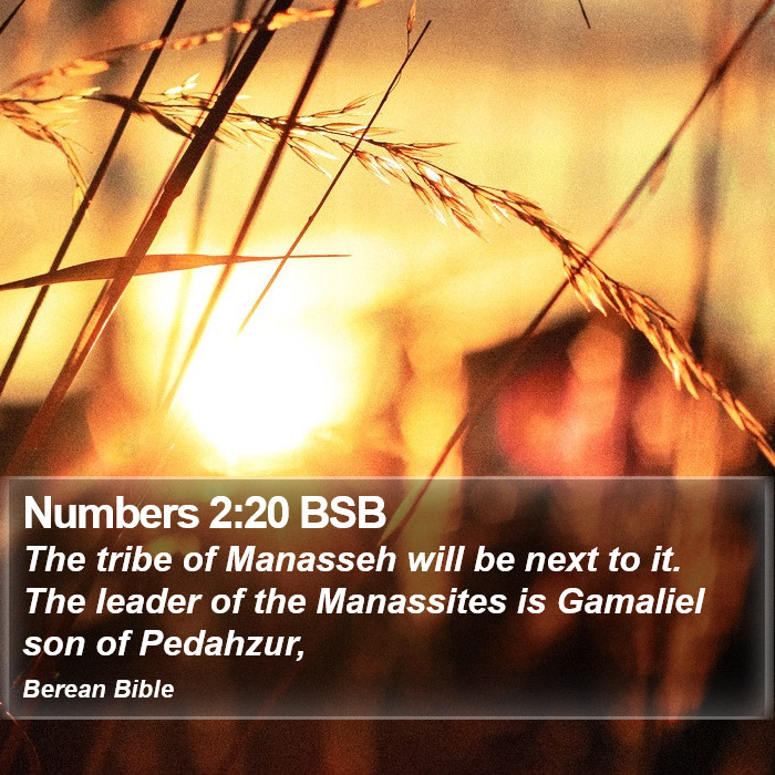 Numbers 2:20 BSB Bible Study