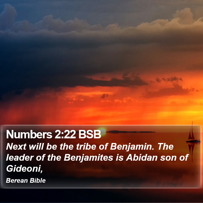 Numbers 2:22 BSB Bible Study