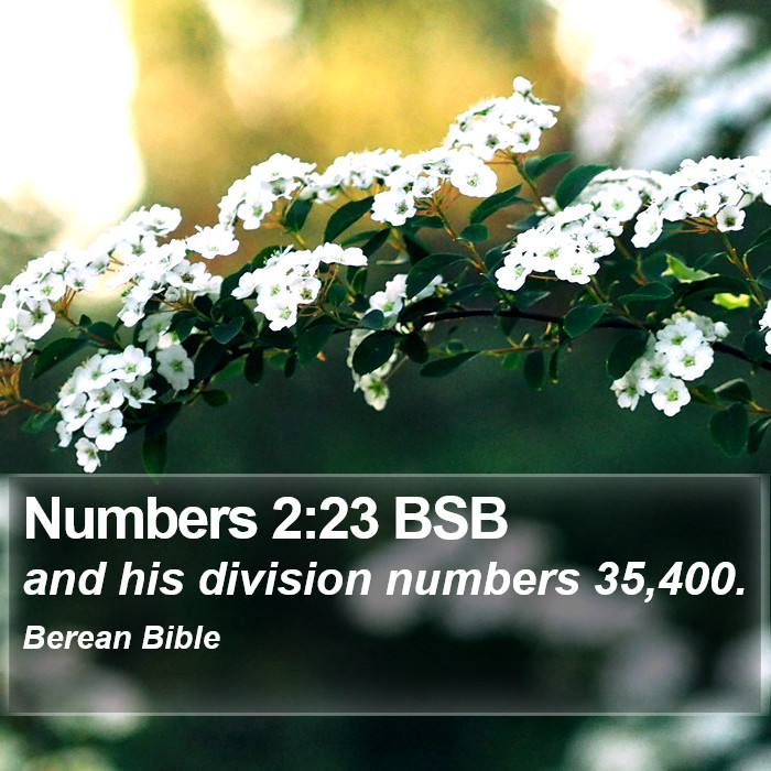 Numbers 2:23 BSB Bible Study