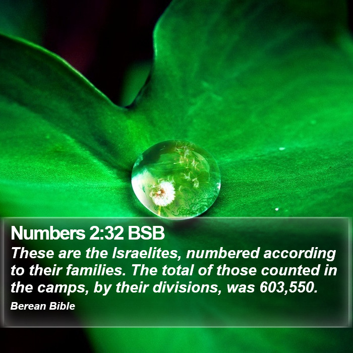 Numbers 2:32 BSB Bible Study