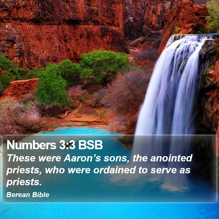 Numbers 3:3 BSB Bible Study