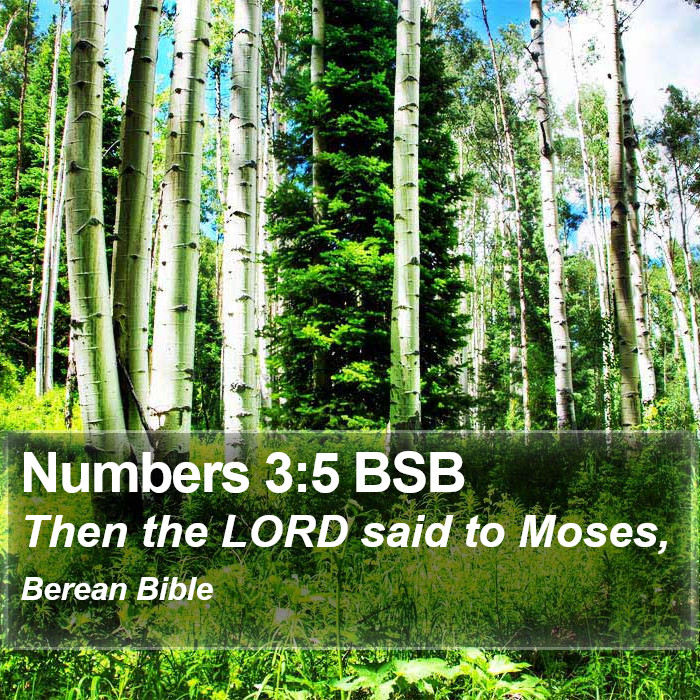 Numbers 3:5 BSB Bible Study