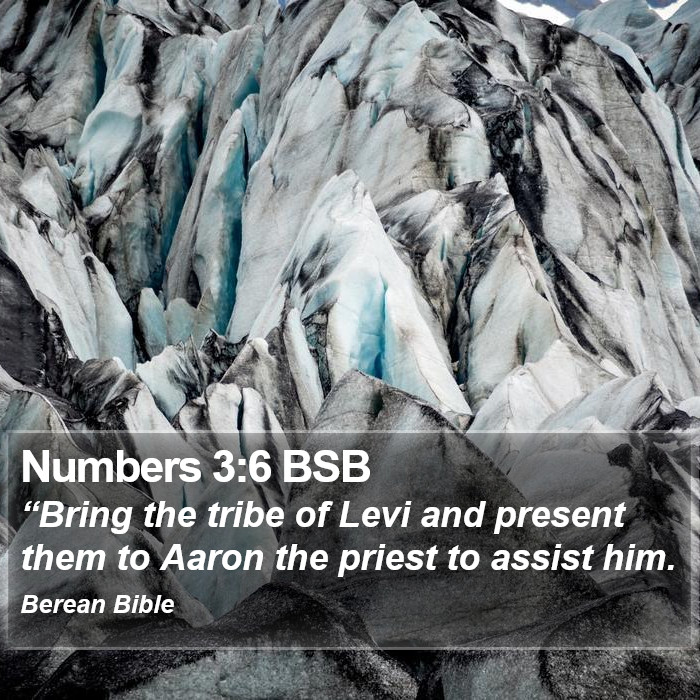 Numbers 3:6 BSB Bible Study