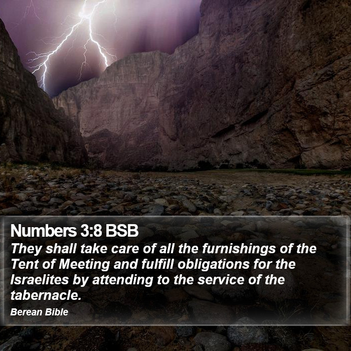 Numbers 3:8 BSB Bible Study