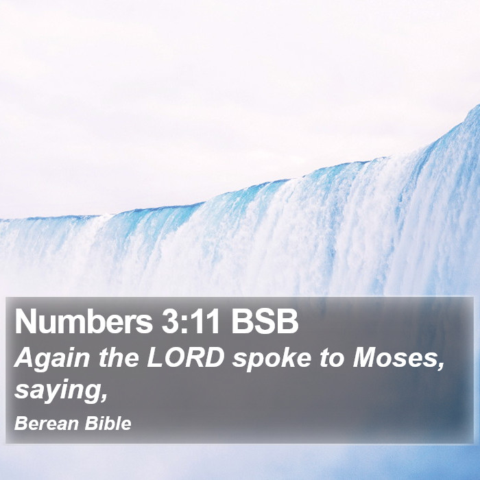 Numbers 3:11 BSB Bible Study