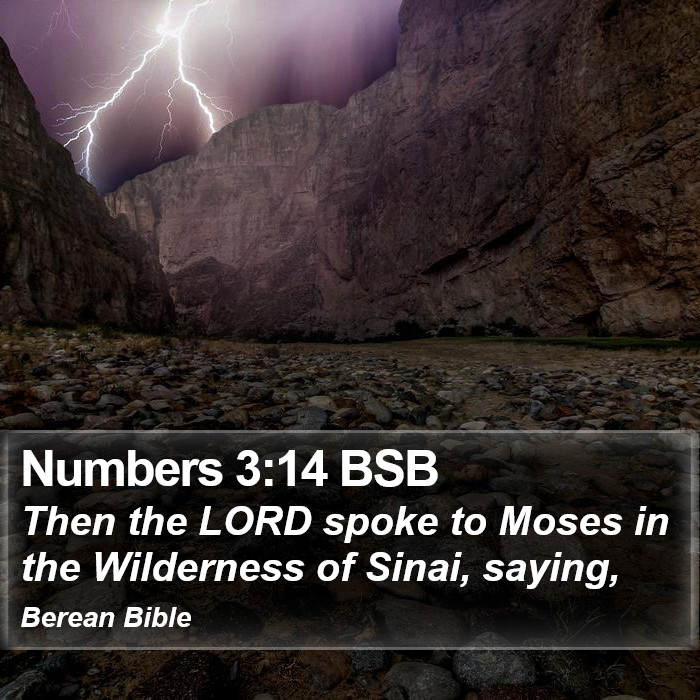 Numbers 3:14 BSB Bible Study