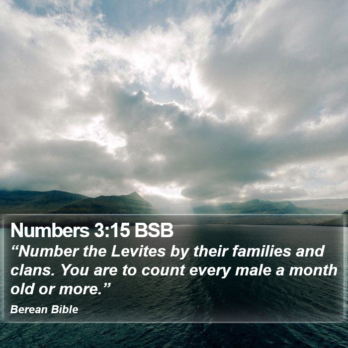 Numbers 3:15 BSB Bible Study