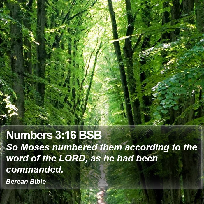 Numbers 3:16 BSB Bible Study