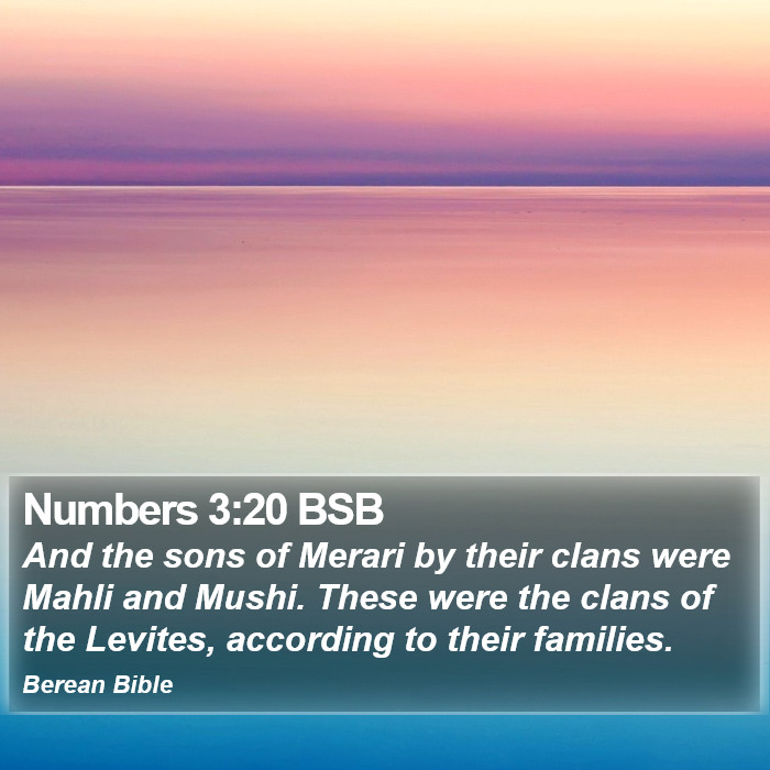 Numbers 3:20 BSB Bible Study