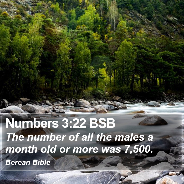 Numbers 3:22 BSB Bible Study