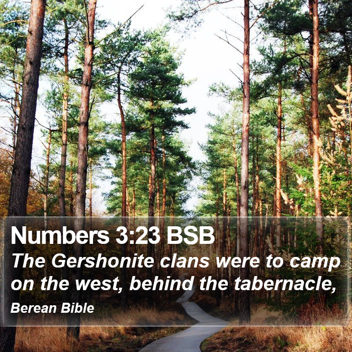 Numbers 3:23 BSB Bible Study