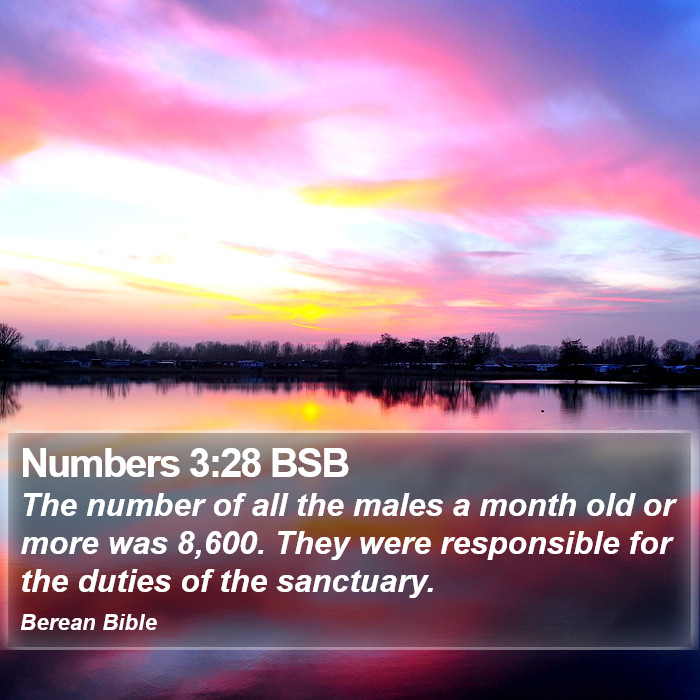 Numbers 3:28 BSB Bible Study