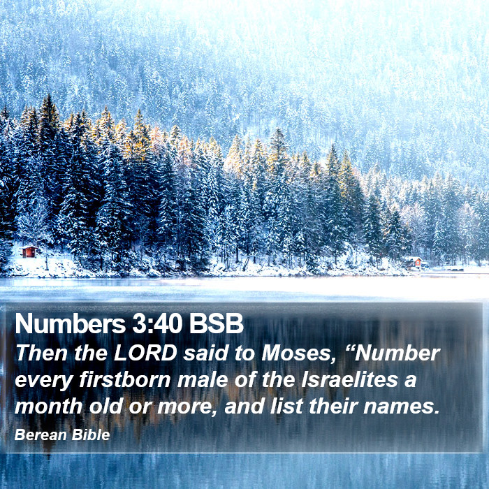 Numbers 3:40 BSB Bible Study