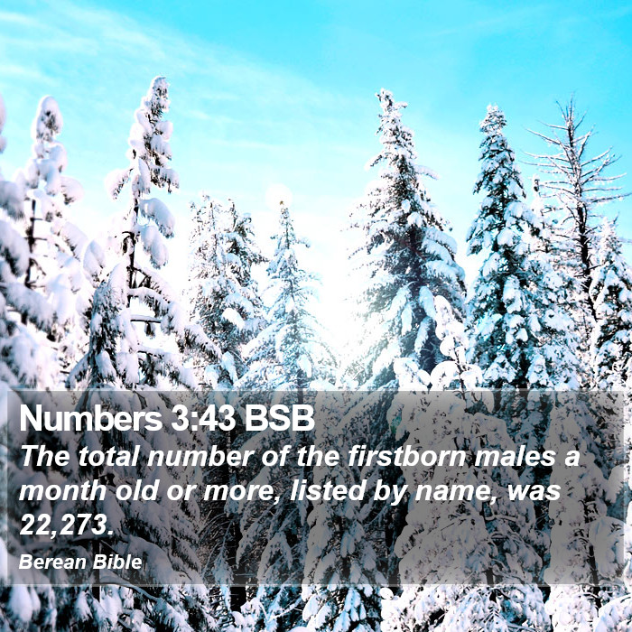 Numbers 3:43 BSB Bible Study