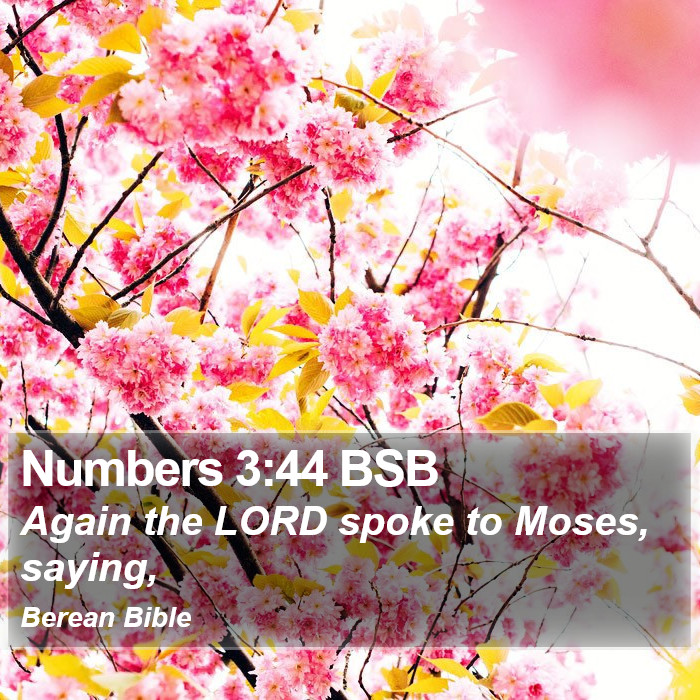 Numbers 3:44 BSB Bible Study