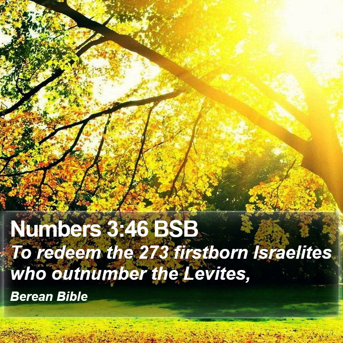 Numbers 3:46 BSB Bible Study