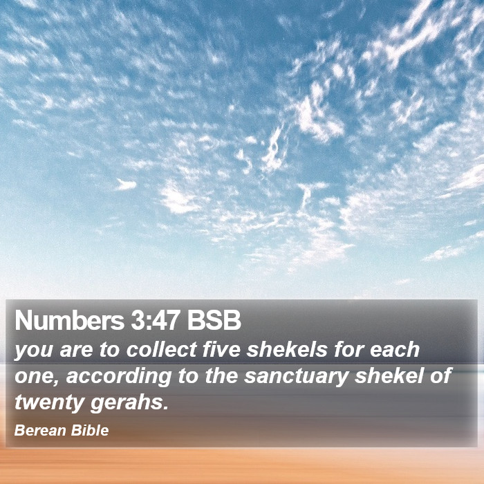 Numbers 3:47 BSB Bible Study