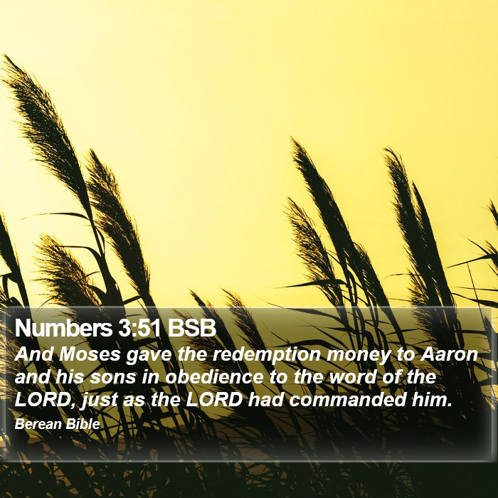 Numbers 3:51 BSB Bible Study