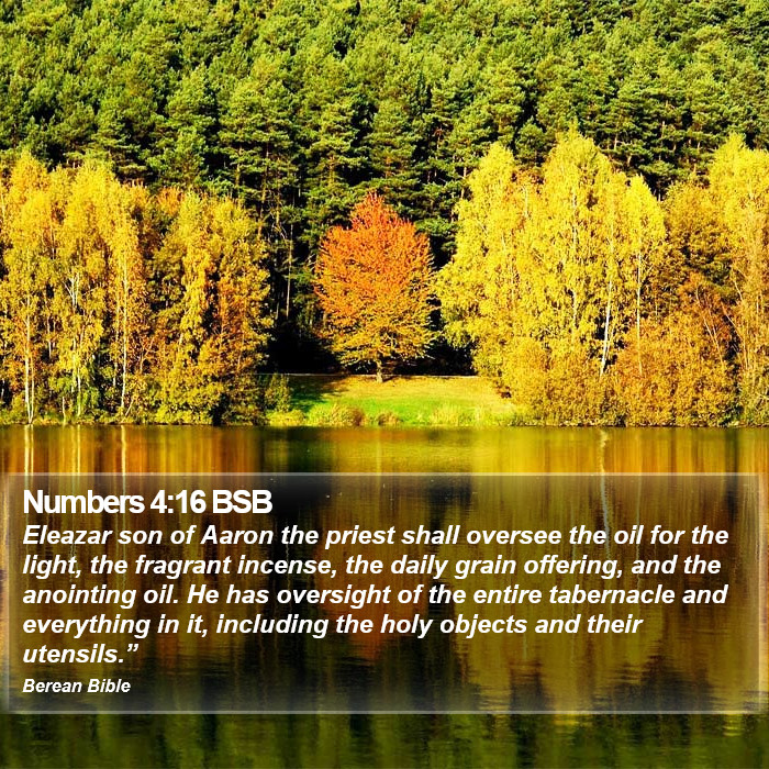 Numbers 4:16 BSB Bible Study