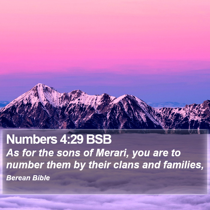 Numbers 4:29 BSB Bible Study