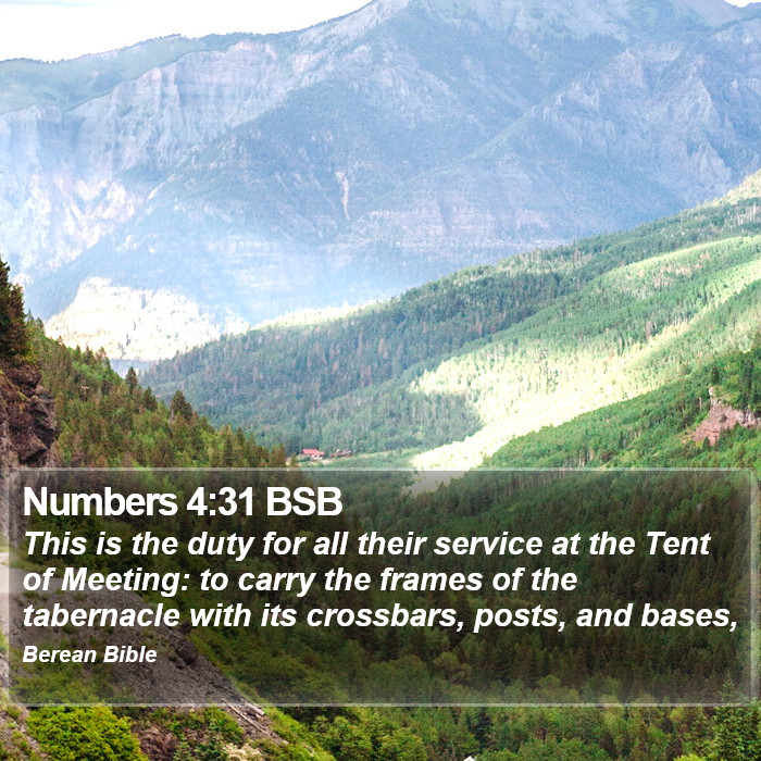 Numbers 4:31 BSB Bible Study