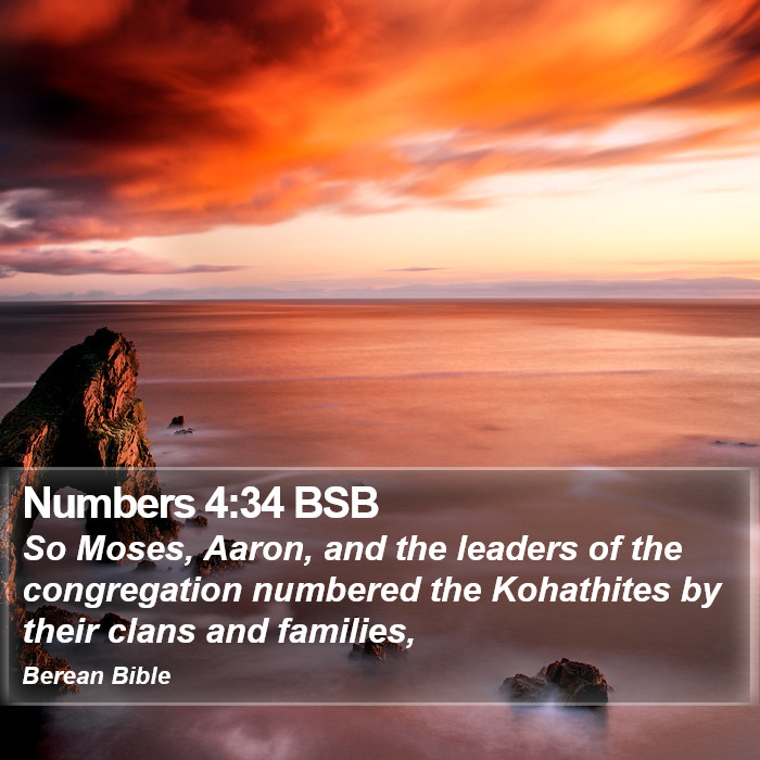 Numbers 4:34 BSB Bible Study