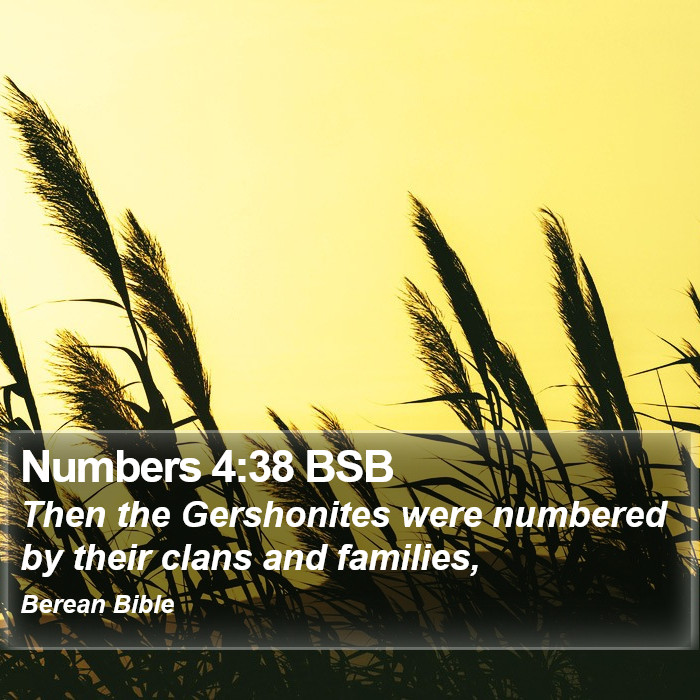 Numbers 4:38 BSB Bible Study