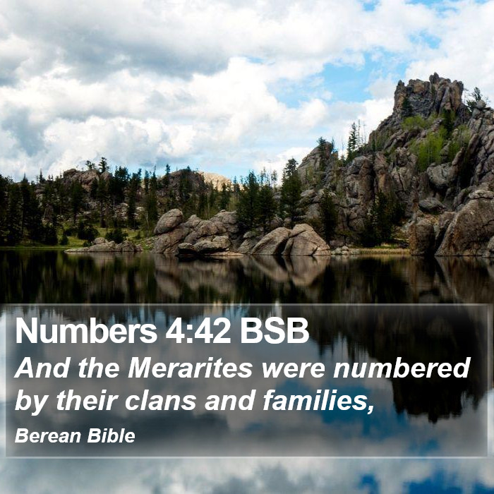 Numbers 4:42 BSB Bible Study