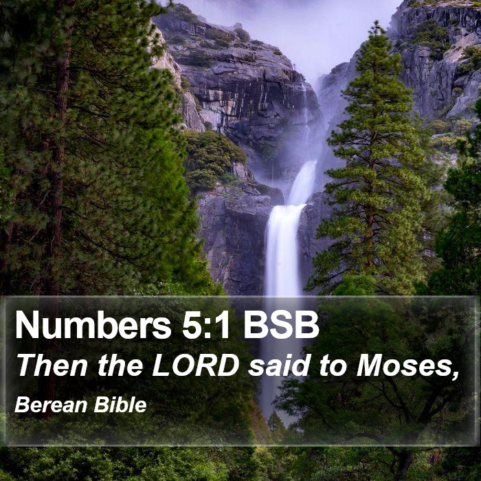 Numbers 5:1 BSB Bible Study