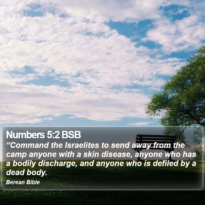 Numbers 5:2 BSB Bible Study